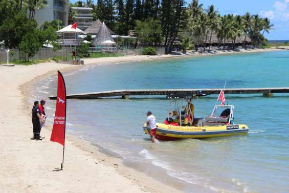 La province Sud et la mairie de Nouméa relancent une campagne d’abattage de quatre jours