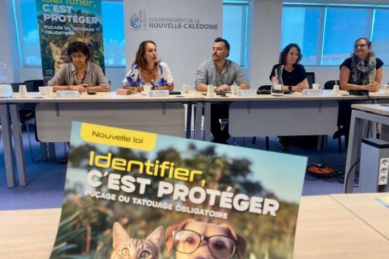 Ce que va changer la nouvelle loi sur les animaux domestiques