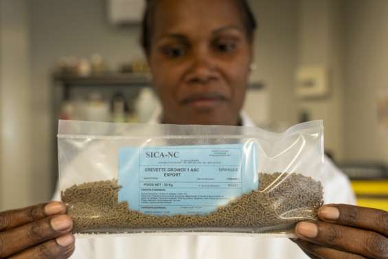 [MAGAZINE] Sica : les crevettes mangent 3 étoiles