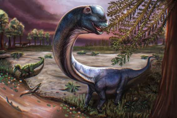 Un nouveau dinosaure géant identifié en Thaïlande : le nagatitan