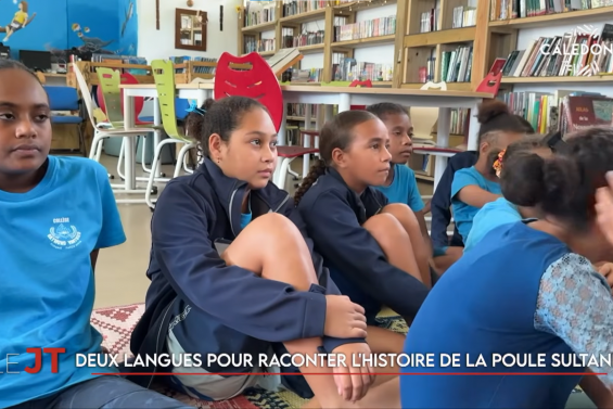 Soutien au monde économique, Sonia Backès tête de liste, le Gallieni de la santé… Le JT de Caledonia du 27 mai