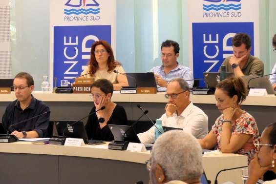 Province Sud : une dernière assemblée expéditive pour achever une 