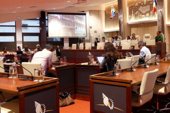 Le Congrès durcit l’encadrement des frais de déplacement