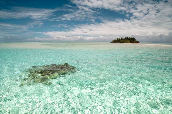 La Polynésie va renforcer la protection de la plus grande aire marine protégée du monde
