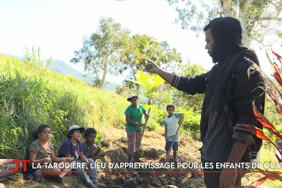 Le programme de la liste UC-FLNKS Îles, le Jeudi du centre-ville de Wallis-et-Futuna… Le JT de Caledonia du 10 juin