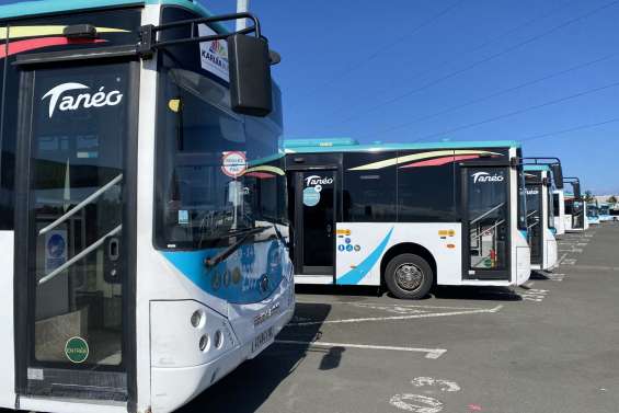 Provinciales : les bus Tanéo circuleront exceptionnellement le dimanche 28 juin