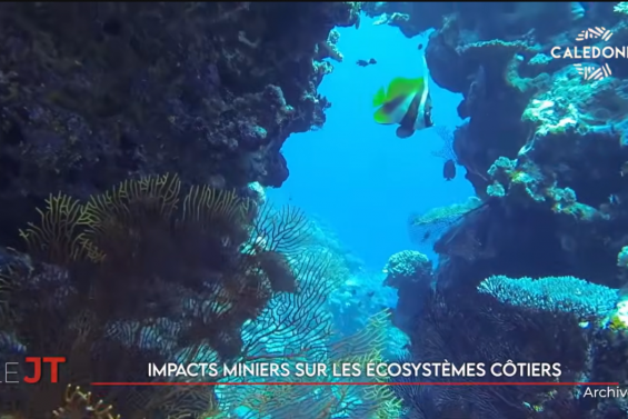 L’enjeu de l’environnement aux provinciales, les impacts miniers sur le littoral… Le JT de Caledonia du 22 juin