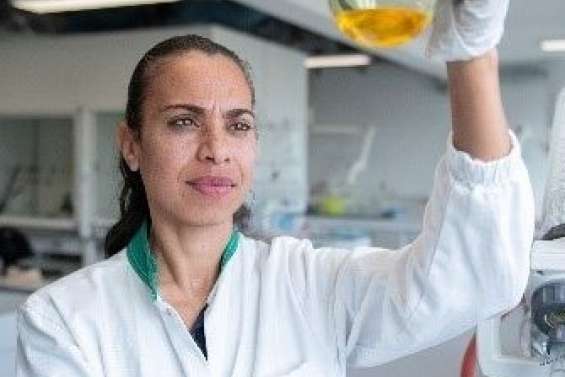 L’université parie sur les peaux de banane pour éliminer le chrome présent dans l’eau