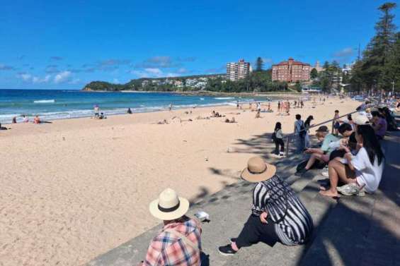 Australie : surveillance renforcée par drone des requins sur les plages de Sydney