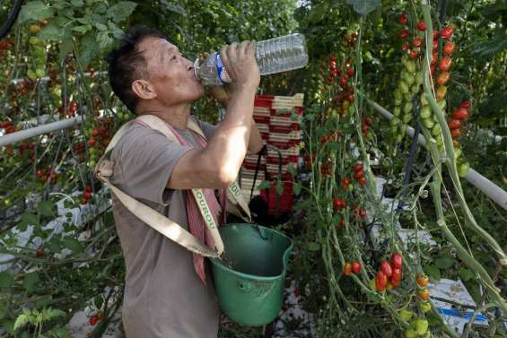 Canicule : déjà environ 1 000 décès de plus que la normale recensés en France