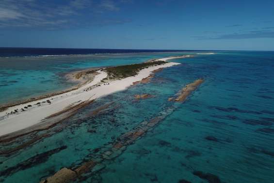 Un câble hors service va être démantelé dans les profondeurs de la mer de Corail