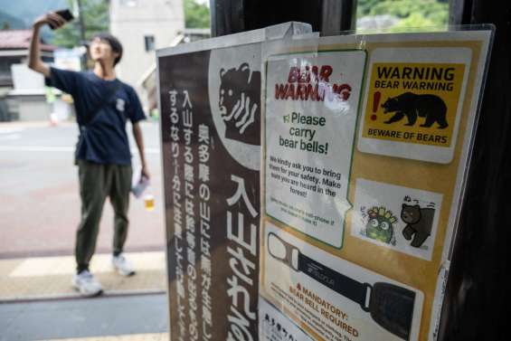 Japon : un spray anti-ours déclenché par erreur dans un bureau de poste, cinq personnes hospitalisées