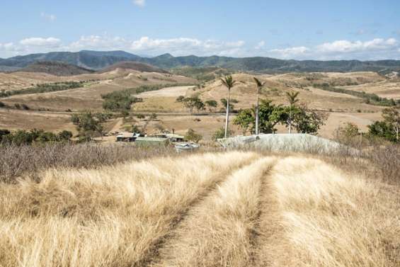 Climat : El Niño devrait être de 