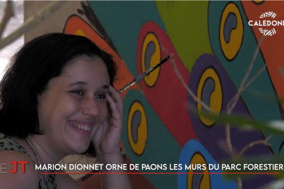 Street art au parc forestier, orientation au lycée... Le JT de Caledonia du 6 juillet