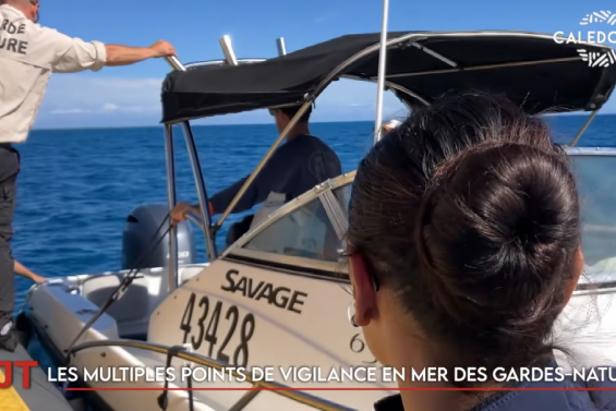Protection du lagon, inclusion bancaire, l’art dramatique au service de la culture… Le JT de Caledonia du 20 juillet