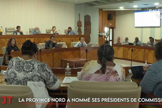Forum face au changement climatique, les présidents de commission nommés en province Nord… Le JT du 30 juillet de Caledonia