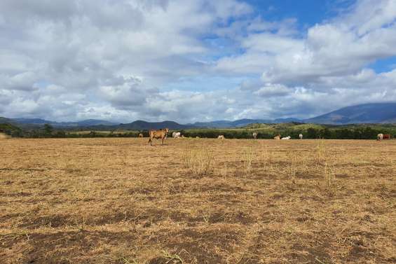 El Niño : les agriculteurs appelés à se préparer avant la sécheresse