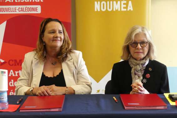 CFA : les apprentis bientôt accueillis à l'école Devambez à Rivière-Salée
