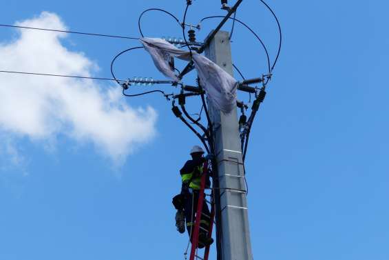 Maré : un accident prive 1 300 clients d’électricité et perturbe le réseau mobile