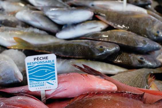 [MAGAZINE] Pêche responsable, un label qui prend le large