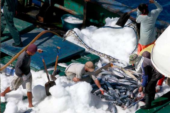 Des bateaux chinois et indonésiens arraisonnés pour pêche illégale dans le Pacifique
