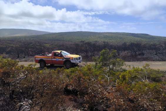 À Bélep, l’incendie est maîtrisé après avoir brûlé 250 hectares