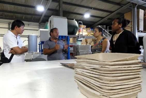 Économie : les entreprises se portent plus mal en Outre-mer que dans l’Hexagone