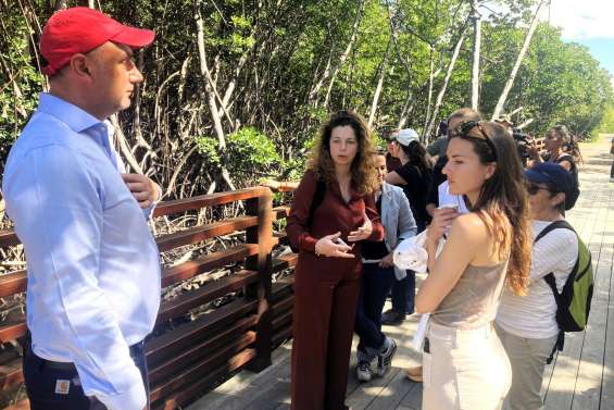Changement climatique : à Sainte-Marie, la mangrove montre la voie aux scientifiques de la région