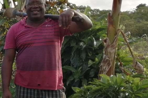 [MAGAZINE] René Wacapo : l’agroforesterie au cœur