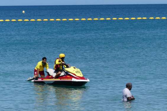 Requins : la mairie de Nouméa appelle à la vigilance en ce début de saison estivale