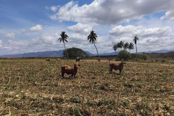 6,4° à Lifou, grande sécheresse dans le Nord : un mois de septembre hors norme
