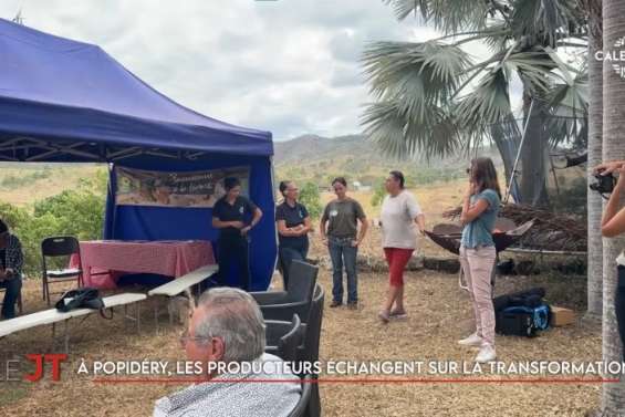 Grève des transports à Lifou, Le Pacifique, nouveau carrefour du narcotrafic… Le JT de Caledonia du 27 octobre