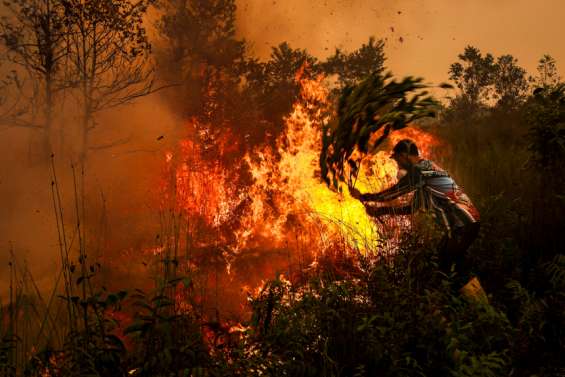 La pollution due aux incendies a tué 3 560 Indonésiens en septembre