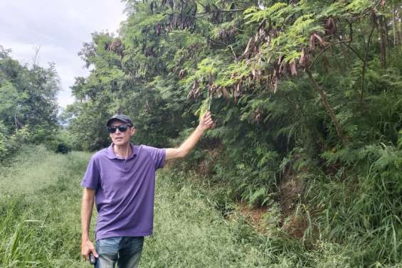 Le sentier de la Vierge, un itinéraire méconnu aux superbes points de vue