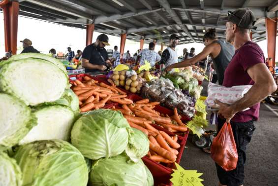 Les fortes pluies ont précipité la fin des récoltes