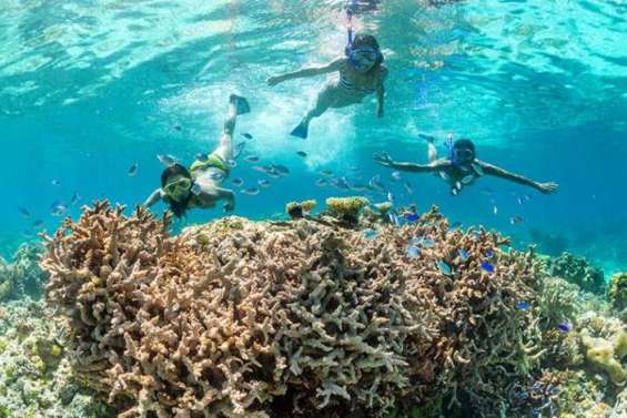 Le mauvais temps n'a pas raison du nautisme calédonien