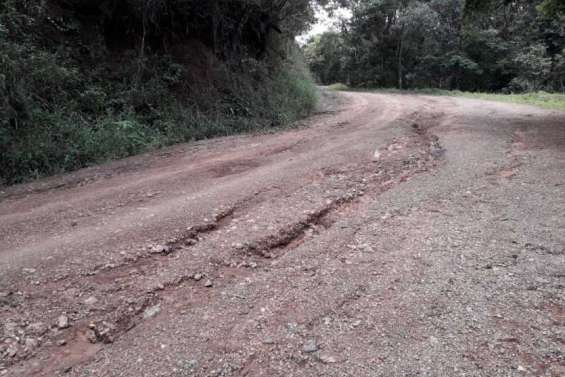 Le parc des Grandes Fougères rouvre ce mercredi