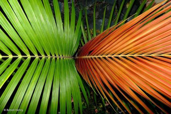 Conférence et expo photos au parc des Grandes Fougères