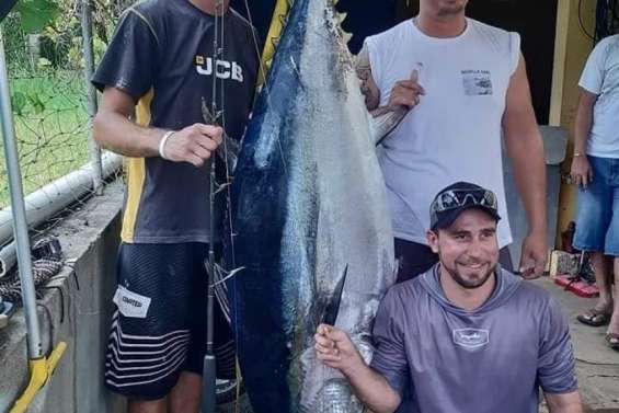 Un thon bachi de 103 kg sorti de l'eau par trois pêcheurs
