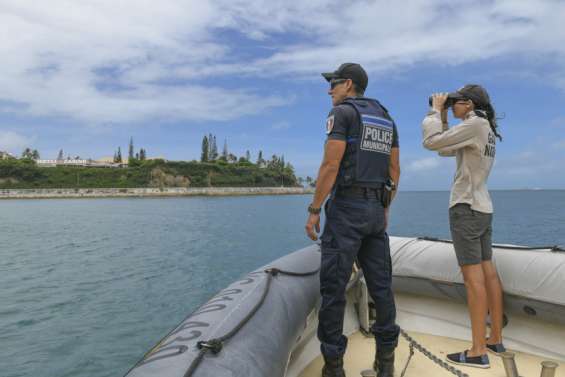 Policiers municipaux et gardes nature s'allient face au risque requin