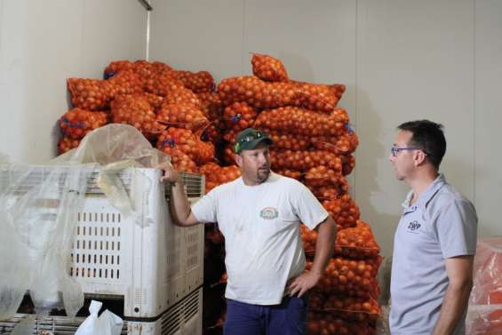 Une tonne d'oignons donnée au profit de l'aide alimentaire