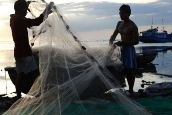 Pêche illégale : des Chinois et des Russes arrêtés