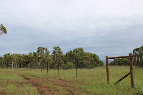 Une clôture pour protéger la forêt sèche à Pindaï