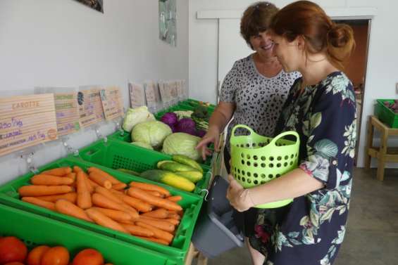 Les fruits et légumes locaux désertent les étals