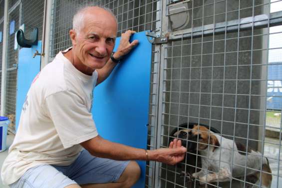 Les animaux de la Spanc prêts à affronter un vrai temps de chien