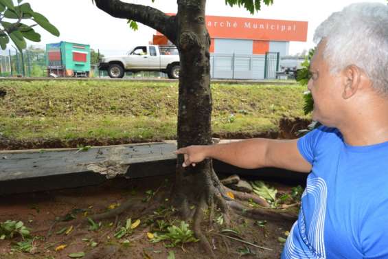 Pas besoin de titre sur la page photo