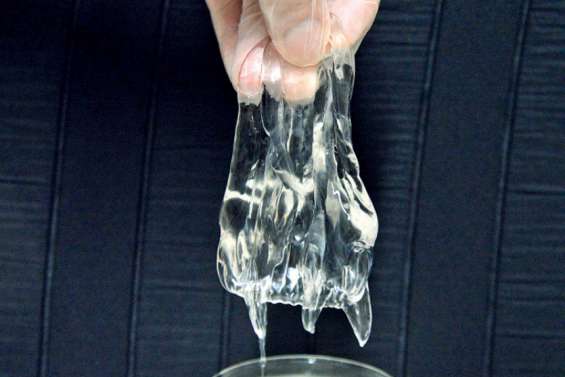 Le retour des méduses dangereuses