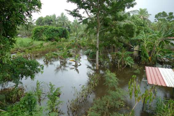 Lucas et la Niña combinés, les eaux abîment la production agricole
