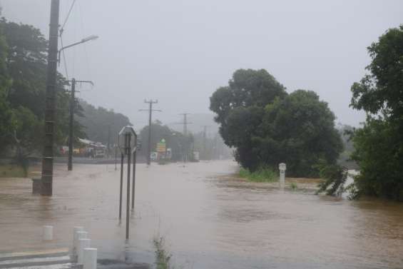 Après Lucas, prenez garde à la leptospirose