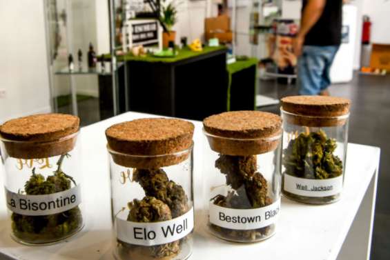 Souplesse pour le cannabis thérapeuthique